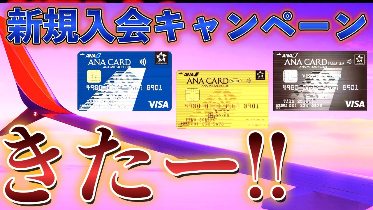 ANAVISAカード🪪新規入会キャンペーン💳きたー‼️‼️
