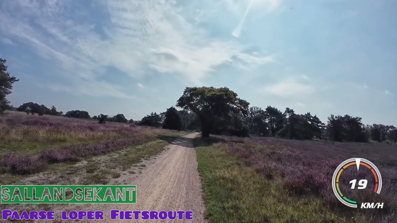Paarse Loper Fietsroute Sallandsekant | 09-08-2025 | 56,5 km