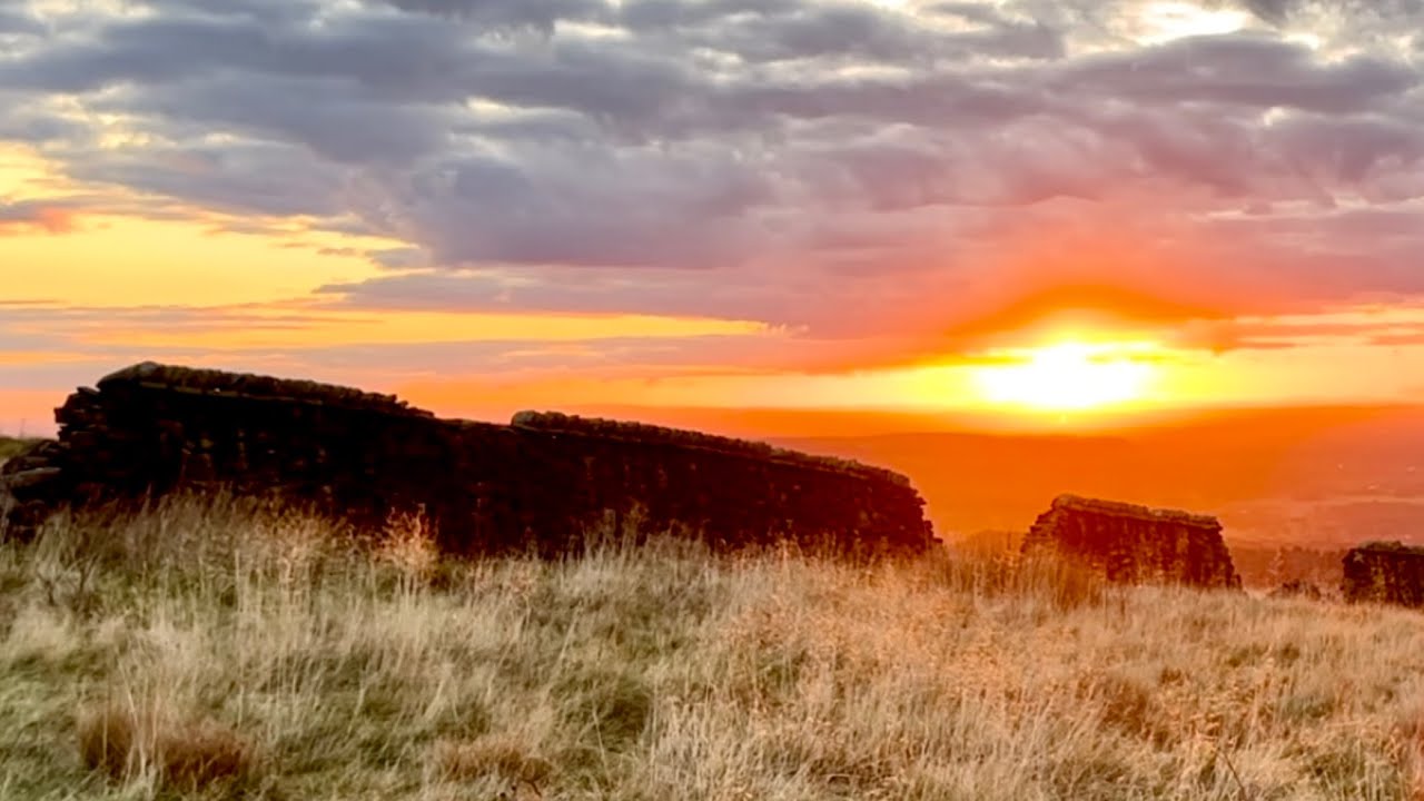 Wild Lyme Park. Hen Harriers Red Deer and so much more. Autumn 2024. An amazing place for all.