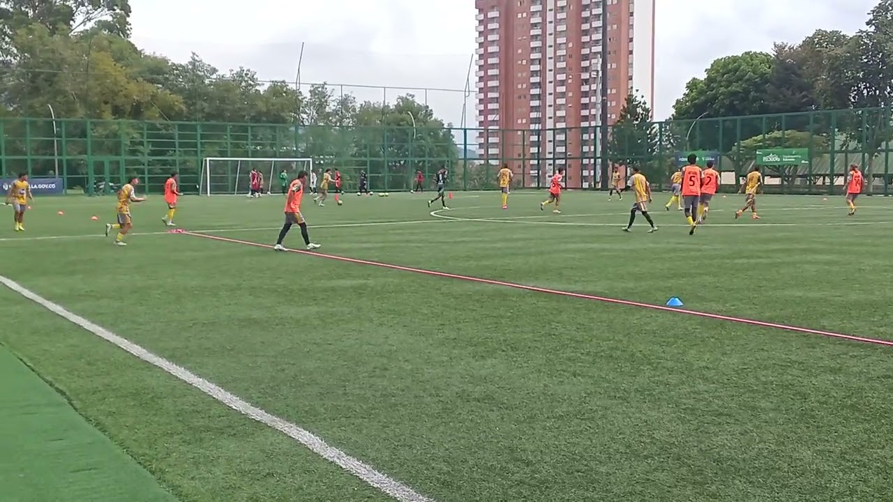 Sub 17