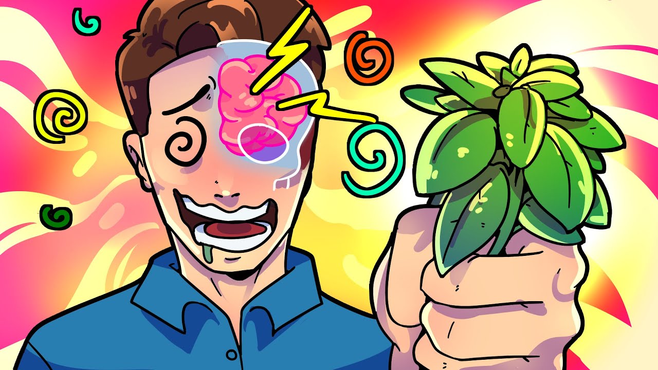 Tu cerebro con salvia