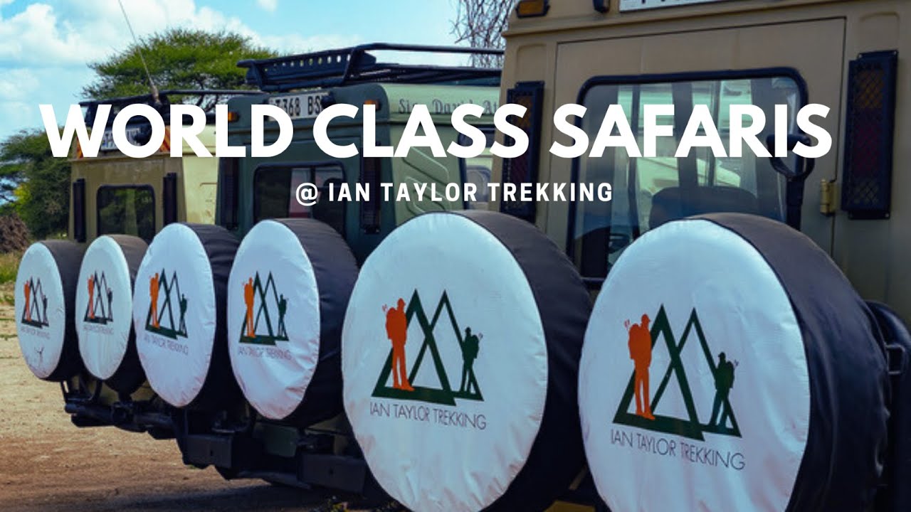 Ultimate Tanzania Safari | Luxury & Custom Safaris with Our Expert Team