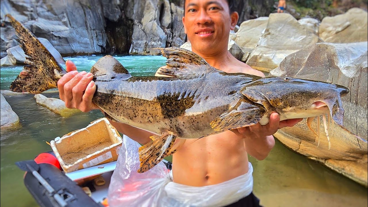 CÁ SUỐI CỰC TO • Thiên Đường Cá Suối - Tập 4