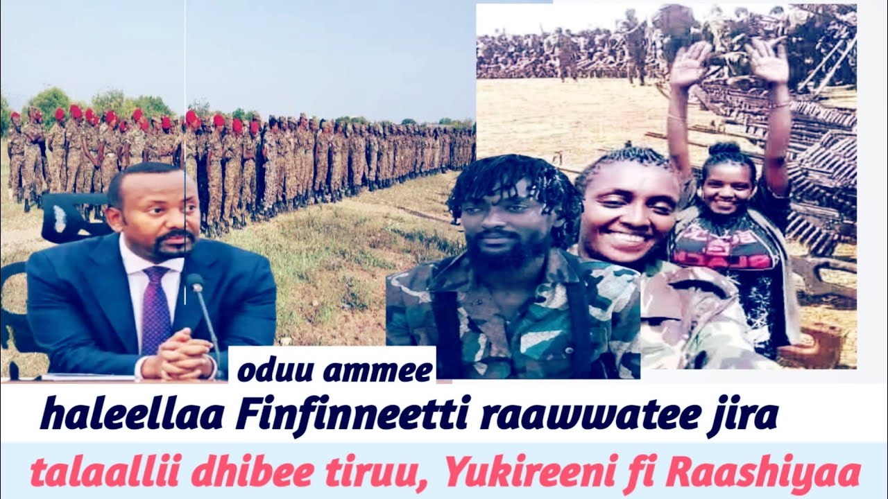 haleellaa Finfinneetti raawwatee, talaallii dhibee tiruu, Yukireeni fi Raashiyaa, 25 November 2025