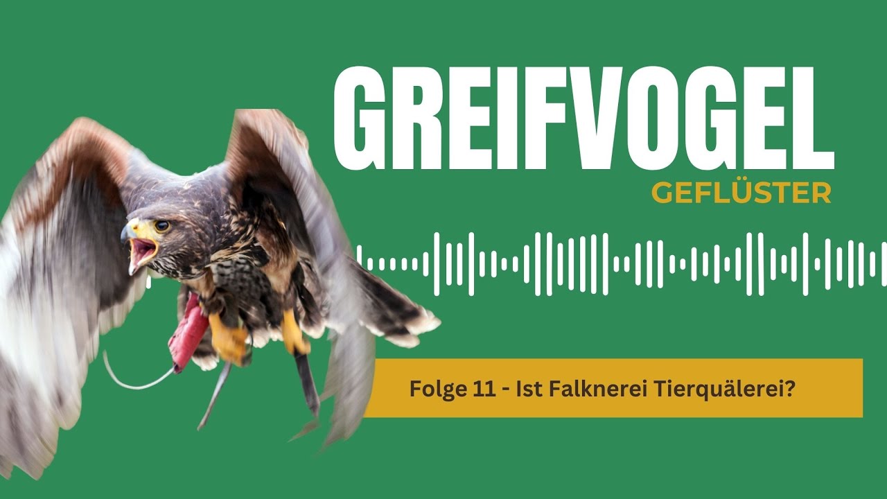 Ist Falknerei Tierquälerei?