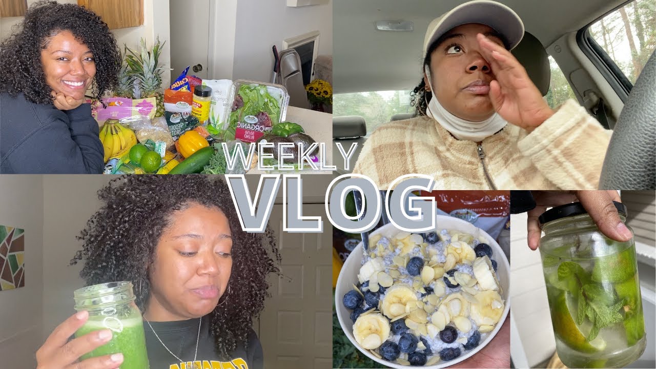 WEEKLY VLOG #1: I WENT RAW VEGAN + APARTMENT HUNTING IS STRESSFUL| Brandi Christina Vlogs