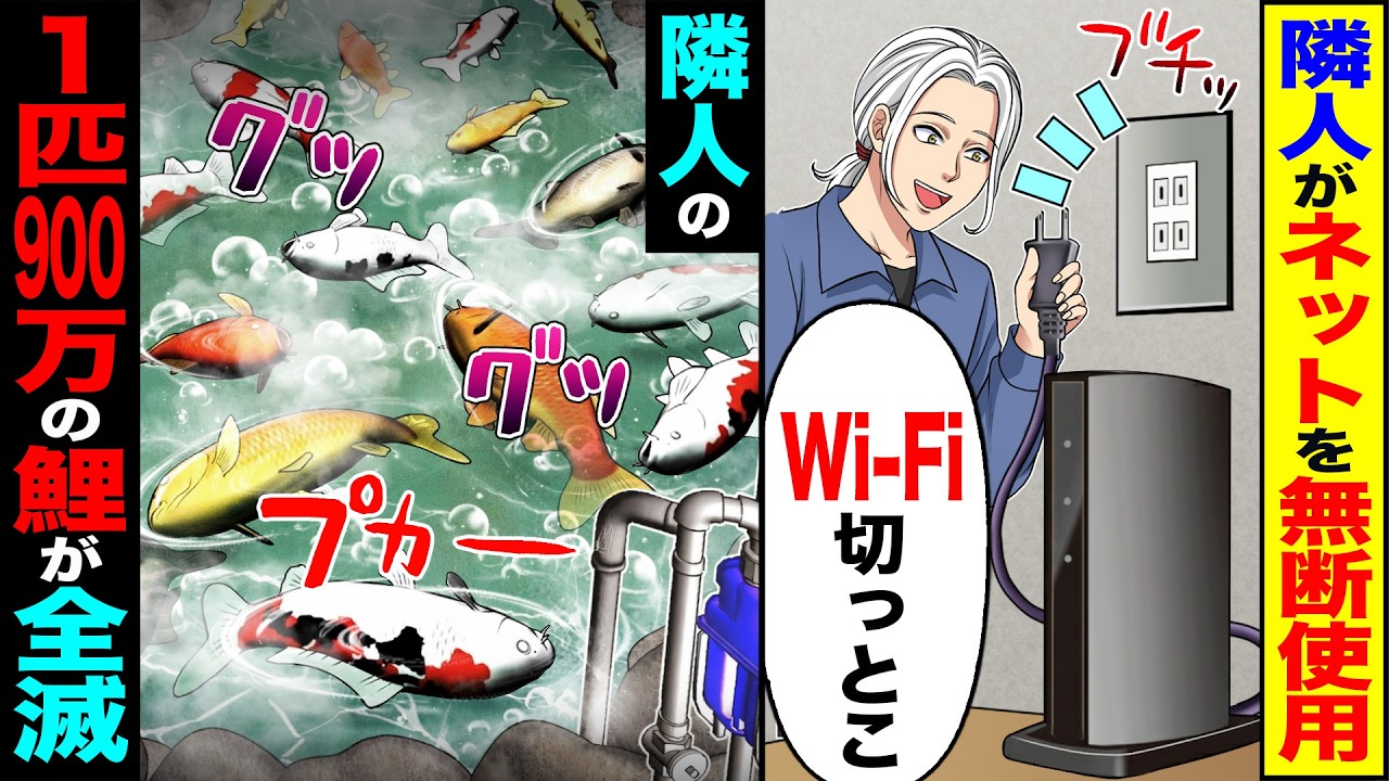 【スカッと】隣人がネットを無断使用「Wi-Fi切っとこ」→隣人の1匹900万の鯉が全滅【漫画】【アニメ】【スカッとする話】【2ch】