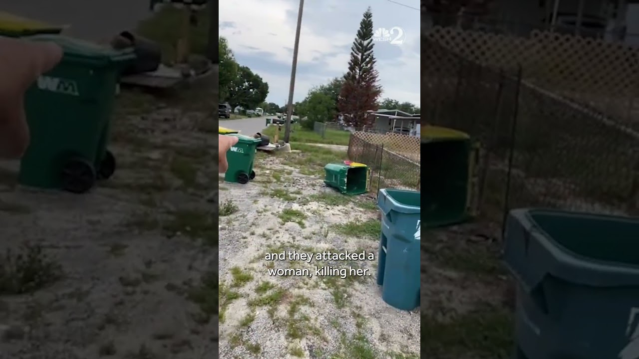 3 dogs found dead at Brevard home of woman mauled by neighbor's dogs