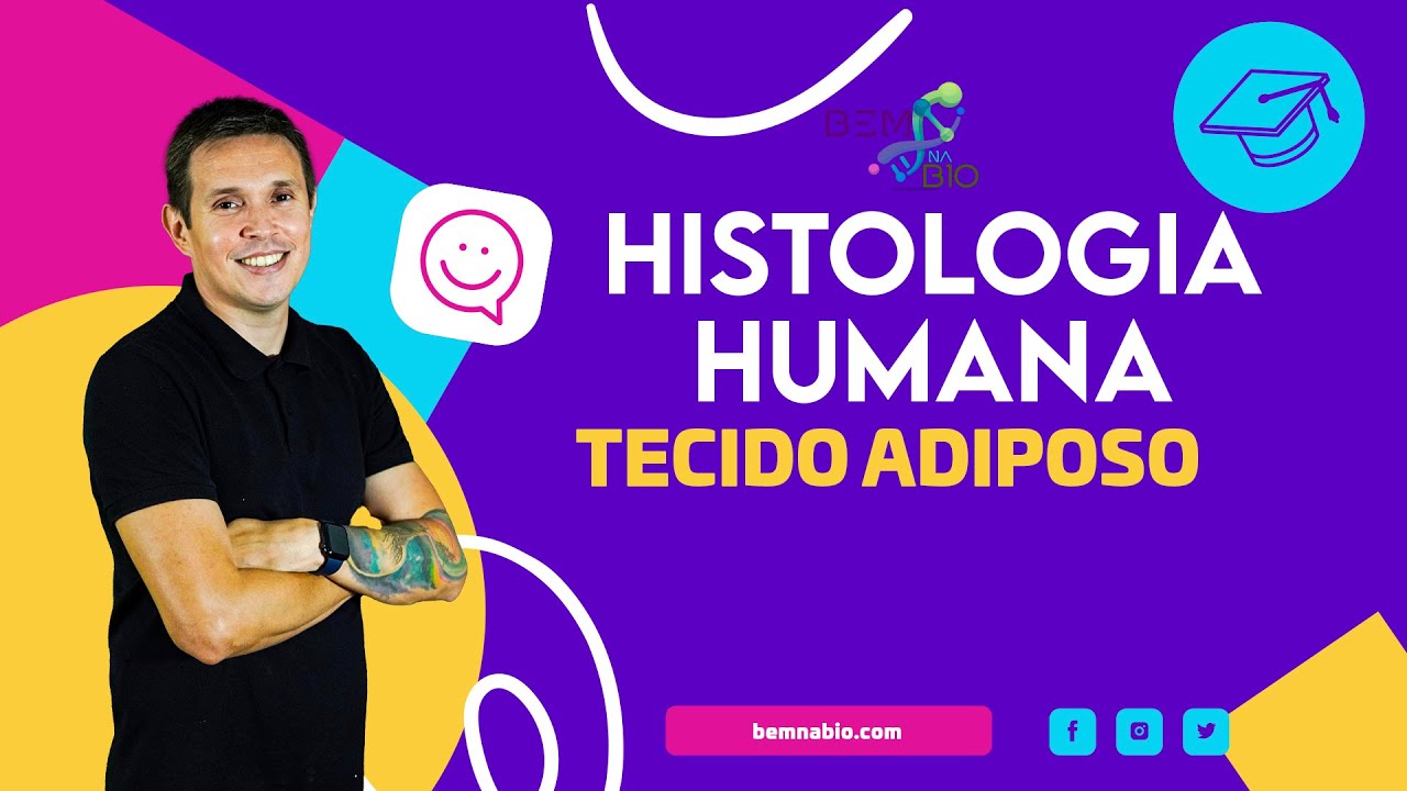 Histologia Humana - Tecido Adiposo