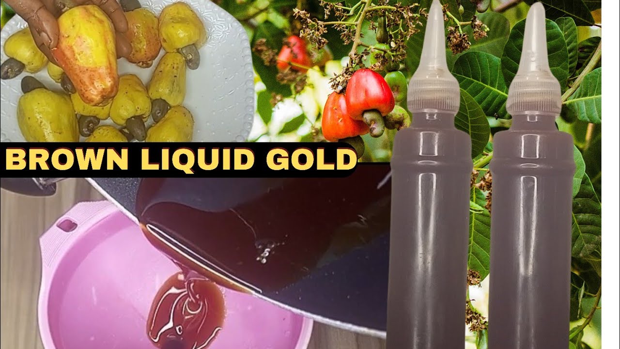 Turning Waste into Brown Liquid Gold! How To Make Cashew Fruit Syrup