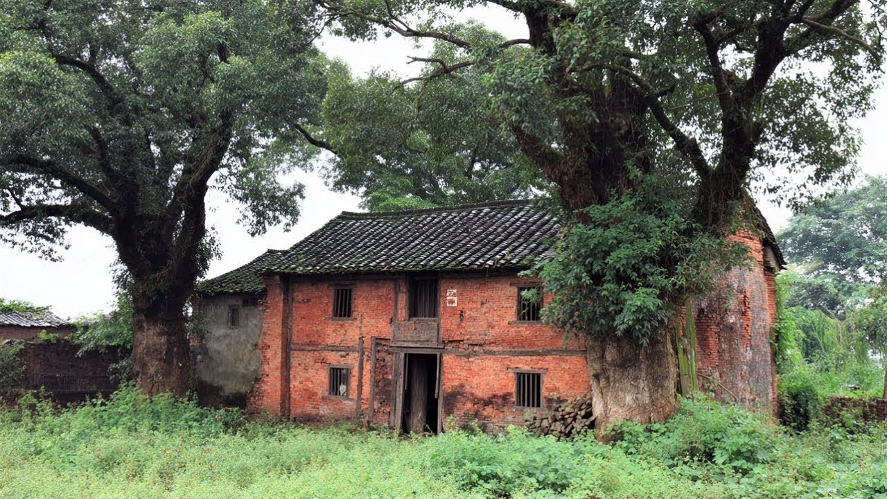 Perfect Renovation: Young men head to the forest to decorate a dilapidated house and create a garden