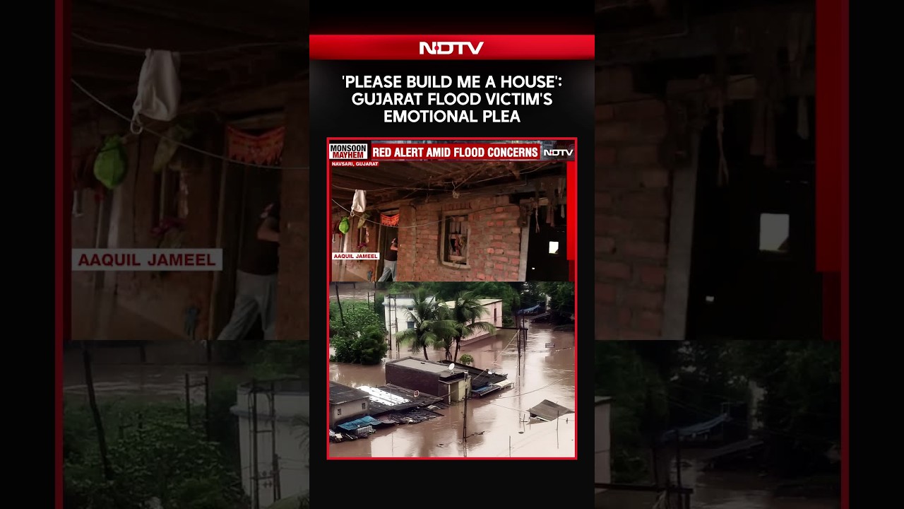 Gujarat Floods | 'Everything We Own Is Under Water': Gujarat Flood Victims Share Their Pain