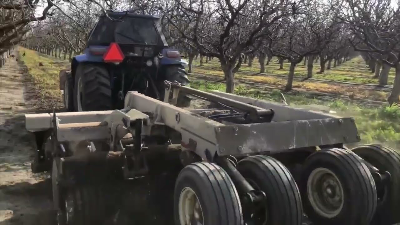 Orchard Disk 1011M-3 (11-ft, 3-row) in Pistachios