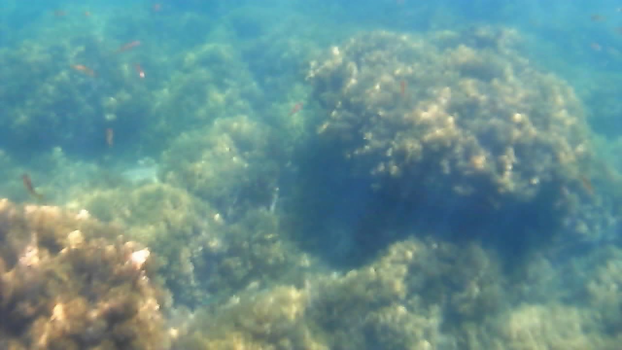水晶浜＿シュノーケル
