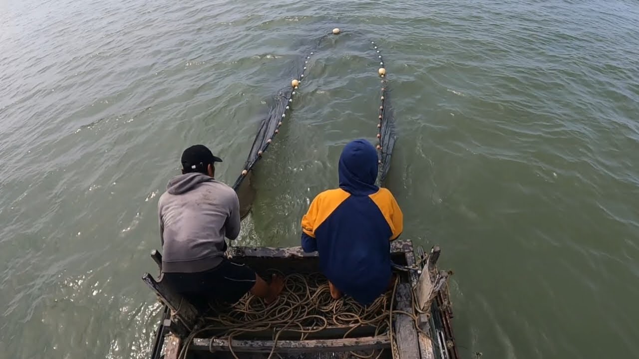 Berburu udang rebon dengan alat tangkap trawl