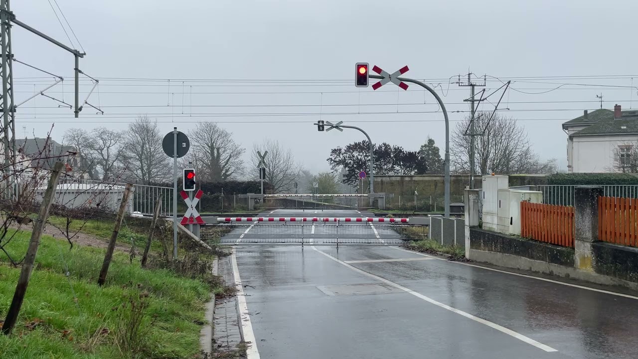 [4K] Rail crossing Oestrich-Winkel [DE] ⨉ Bahnübergang ⨉ Spoorwegovergang | Rail crossings DE