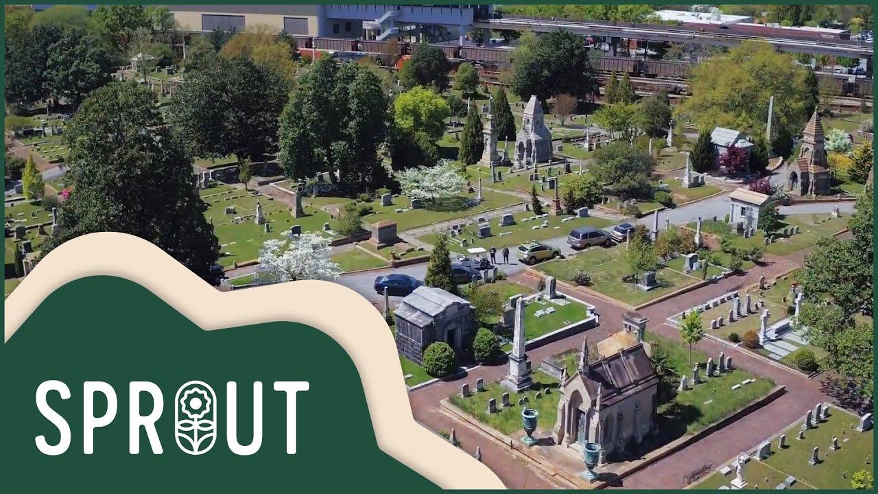 Urban Renewal: From Tombstones to Tranquility | Sprout