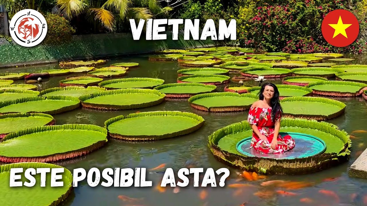 Vietnam în afara rutelor turistice: FRUNZE uriașe care pot susține un om