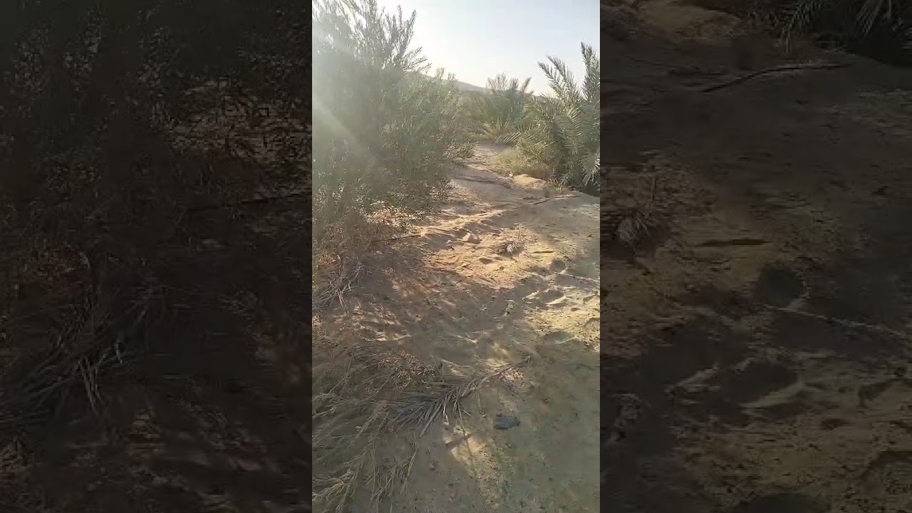 السلام عليكم معانا ارض14ونصف فدان للتواصل 01210271625