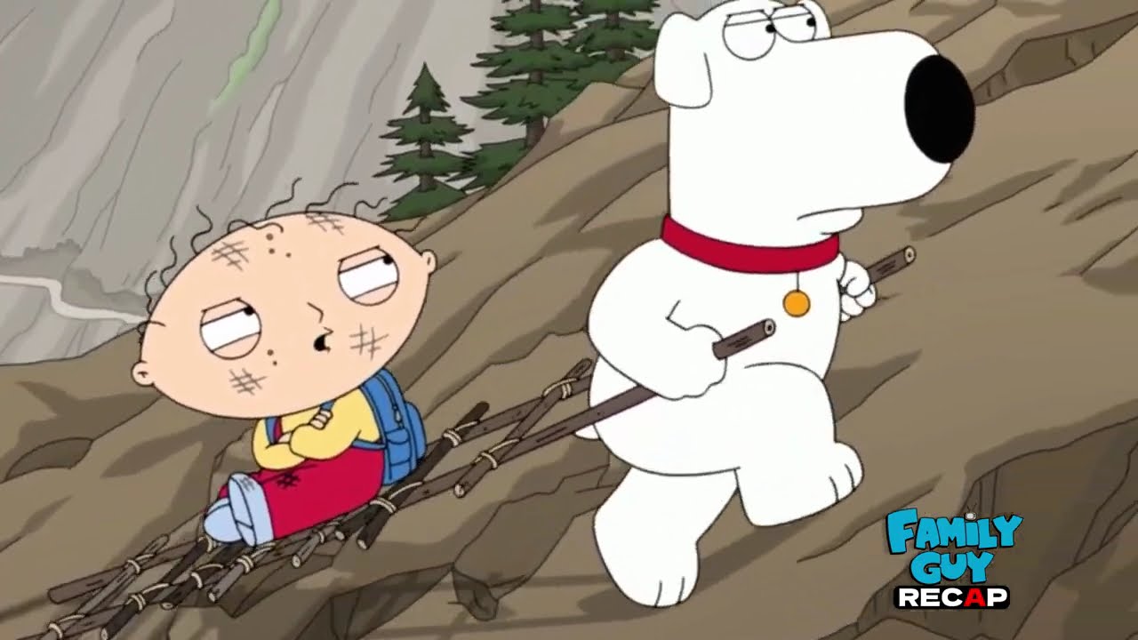 Dog Bites Bear  | family guy season 16 episode 11 recap