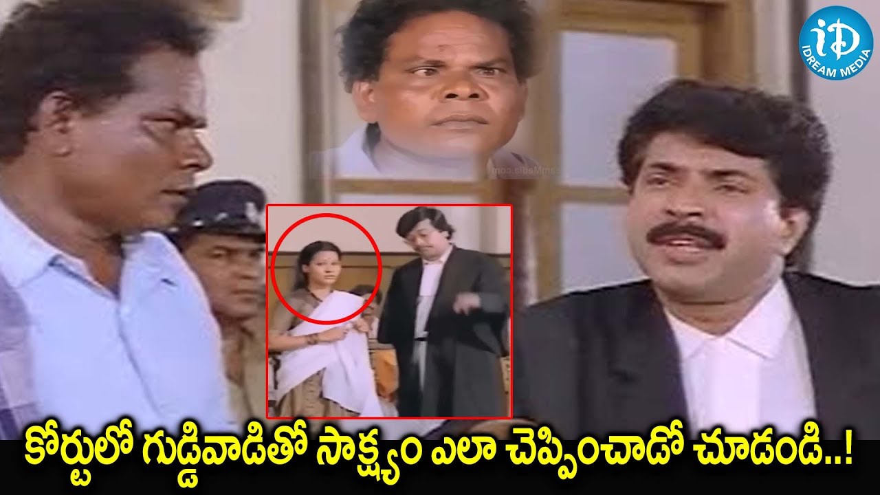 కోర్టులో గుడ్డివాడితో సాక్ష్యం ఎలా చెప్పించాడో చూడండి..Mammootty Goosebumps Court Scene | iDream