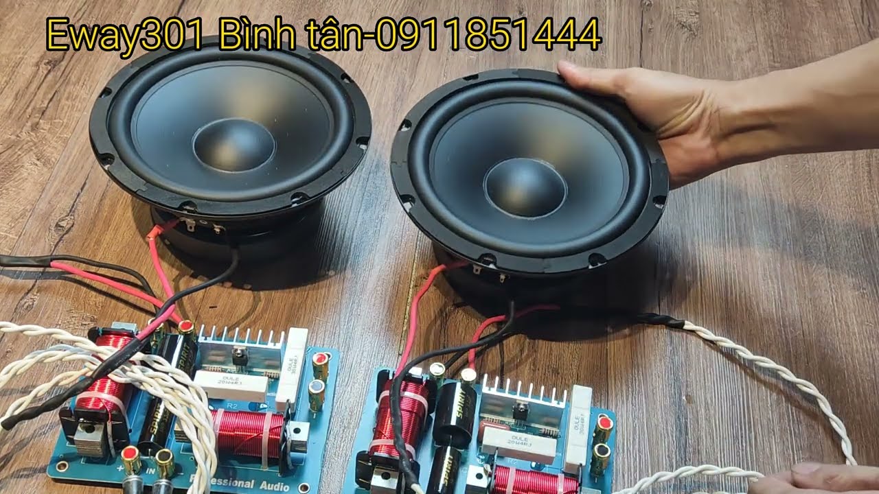 Có Hơn 1 Triệu Nguyên Cặp Loa Bass 20 Pioneer Còn chê đắt-Test luôn cho anh xem có đáng tiền không