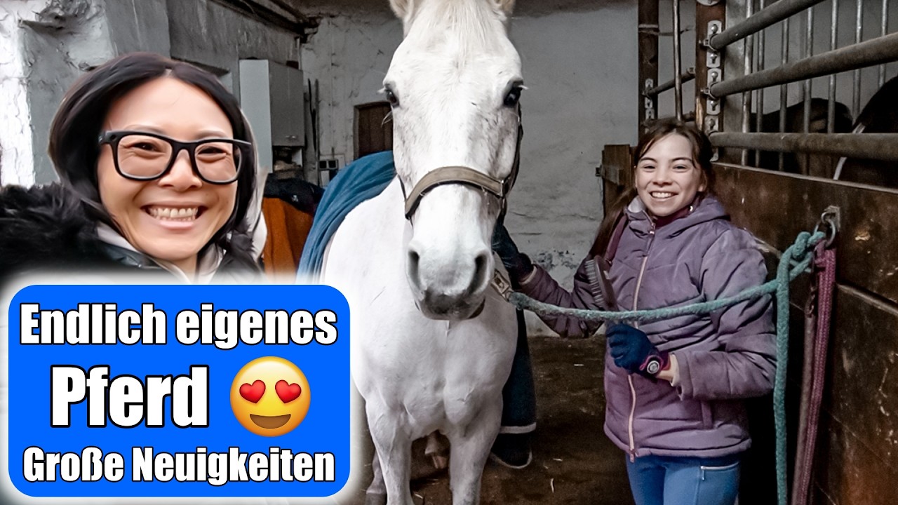 Pferd kaufen 😍 Große Neuigkeiten! Reitunterricht | Mama VLOG | Mamiseelen