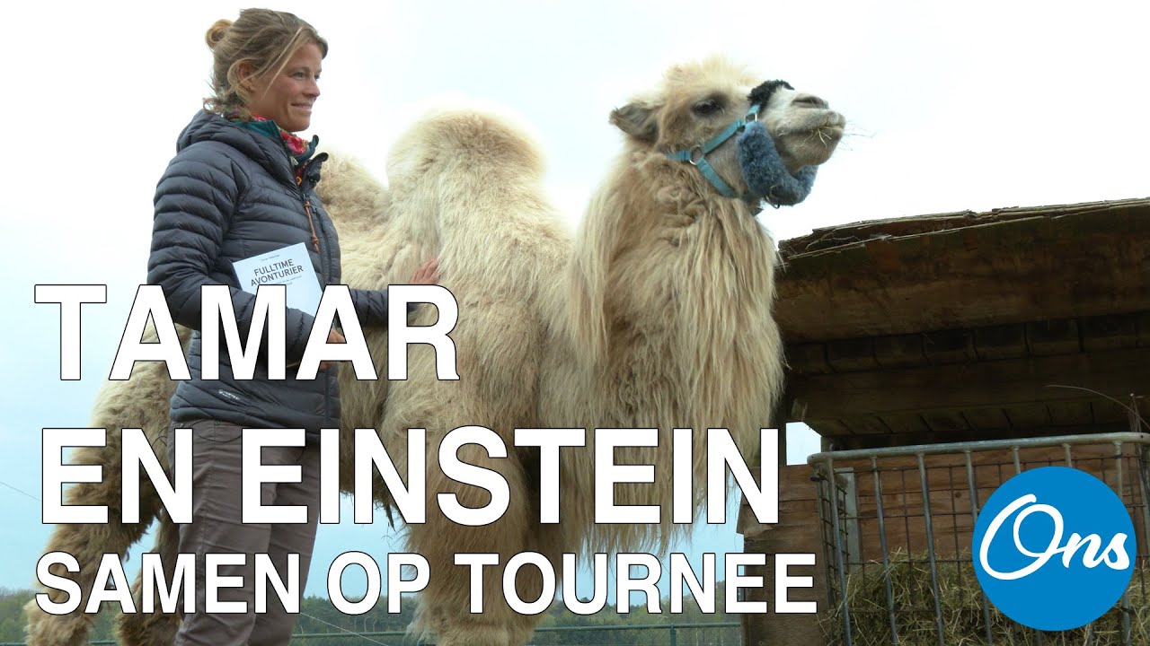 Tamar Valkenier en kameel Einstein trekken samen door Nederland