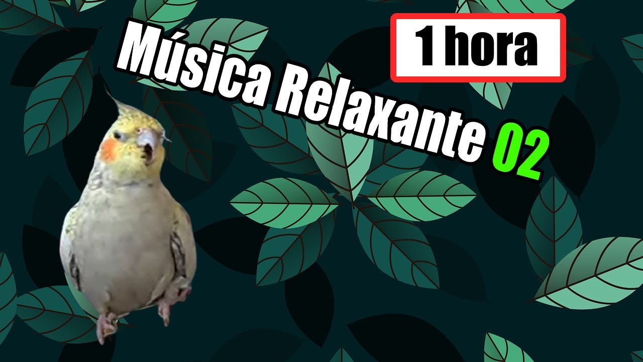 MÚSICA RELAXANTE PARA CALOPSITAS 02  - 1 HORA - FUNCIONA!!!!