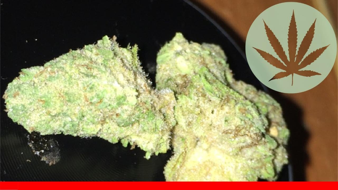 Cherry Ak-47 - All About This Strain