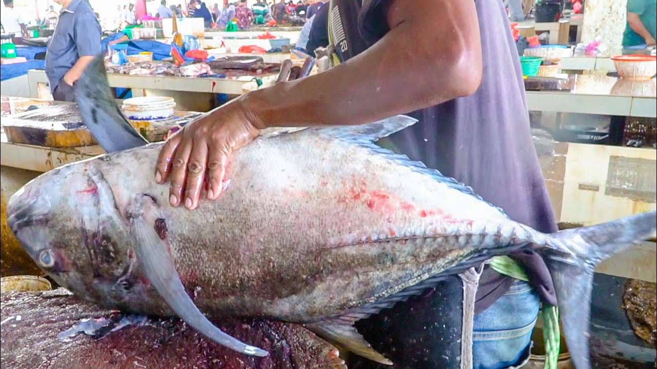 PYSZNE RYBY INDONEZJA || TREVALLY CZYSZCZENIE I CIĘCIE RYB NA RYNKU RYBNYM