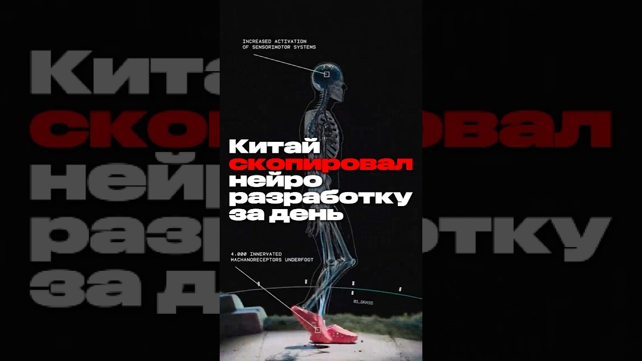 Китай за день скопировал нейронаучную технологию