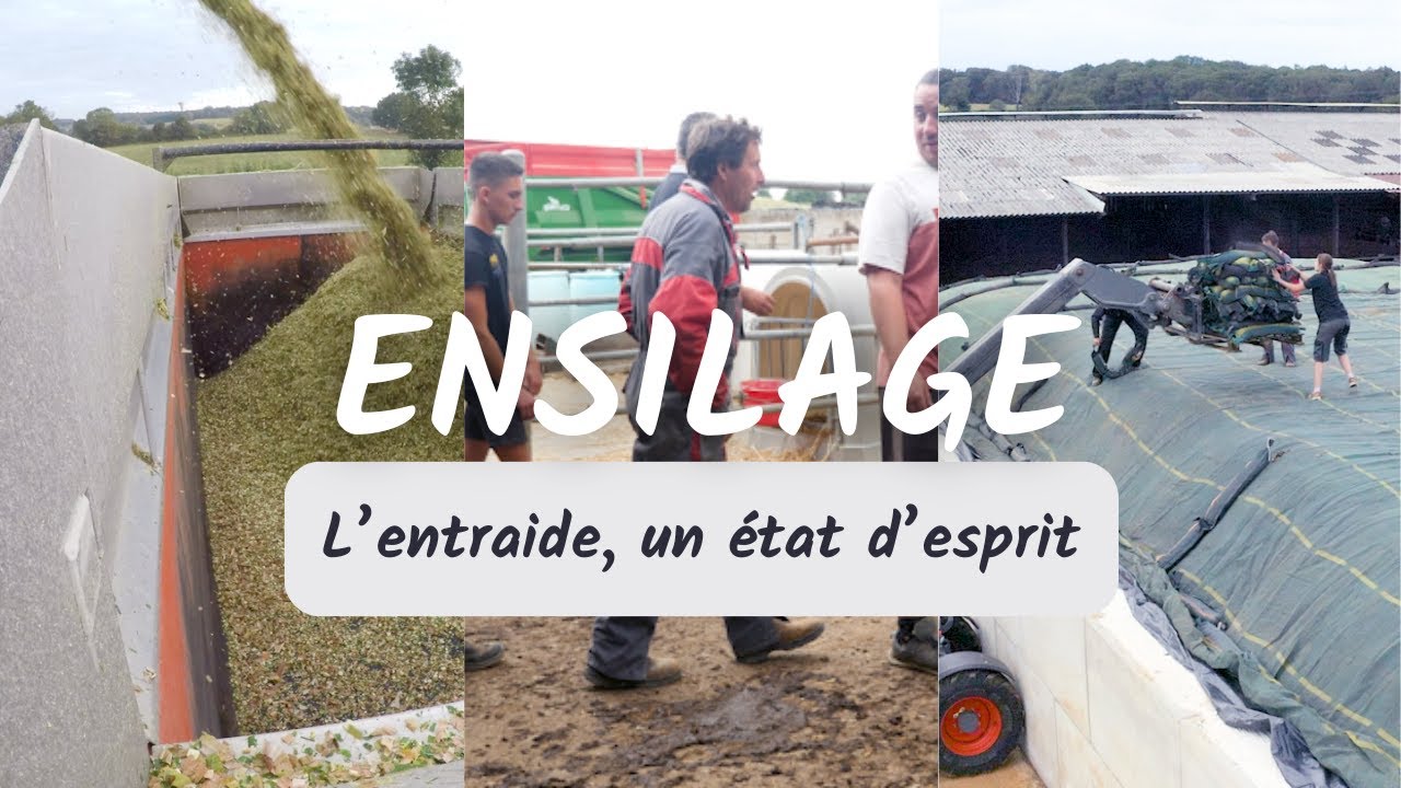 L'entraide, un état d'esprit