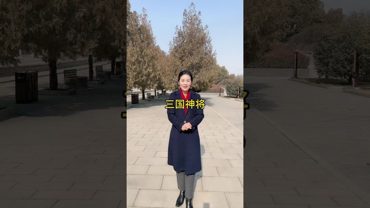 这人物是不是神将呢#三国#黄祖 #热门