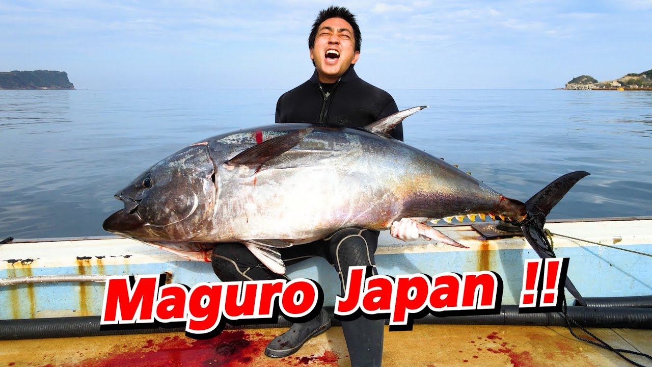 [Eng Sub] Maguro | ดำน้ำจับฮงมากุโร่กับมือ | SUGOI JAPAN | 338