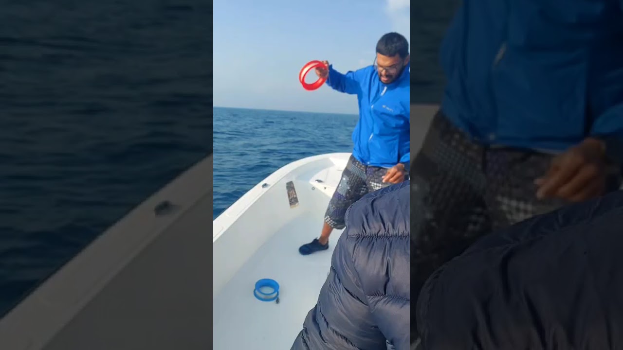 ١١ يناير ٢٠٢٦