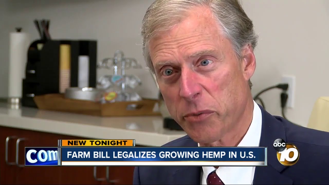 Farm Bill legalizes hemp growing in the United States