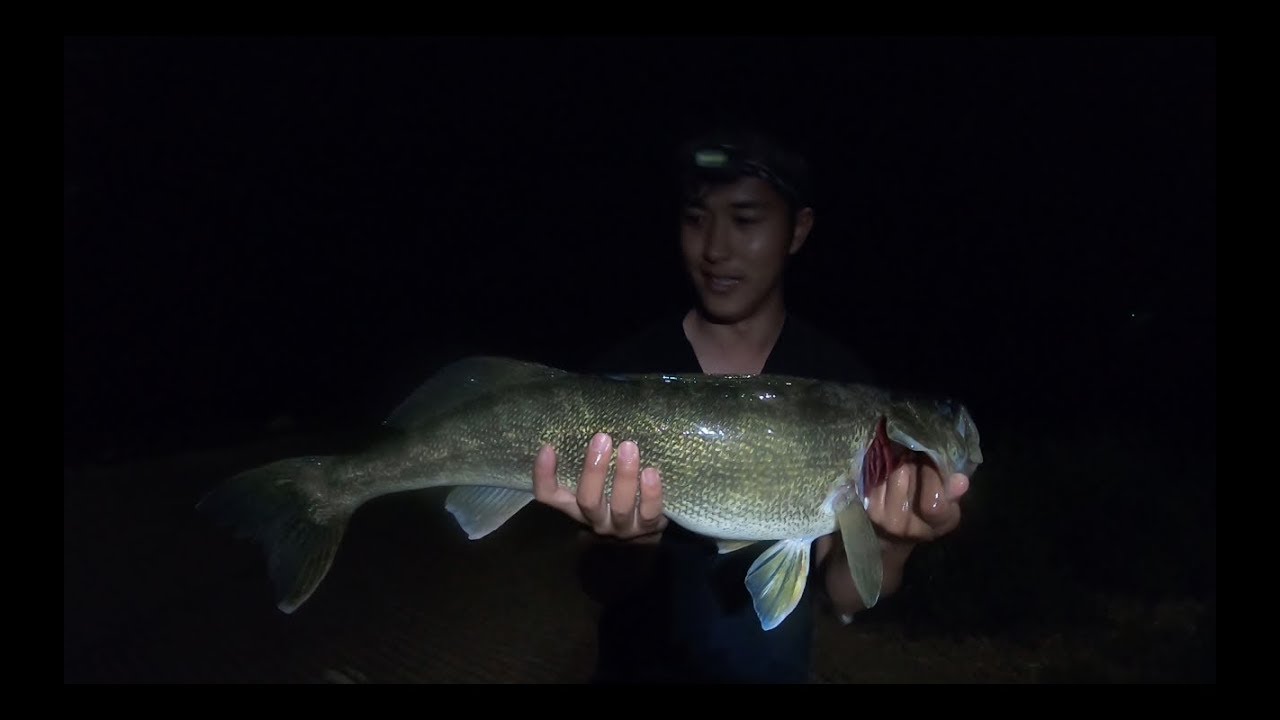 GIANT walleye Jumbo Reservoir Colorado PB