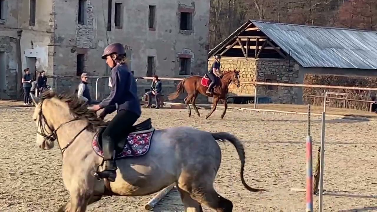 ⚡️🌟⭐️Flashdance enjoying a canter😊 2021 gelding