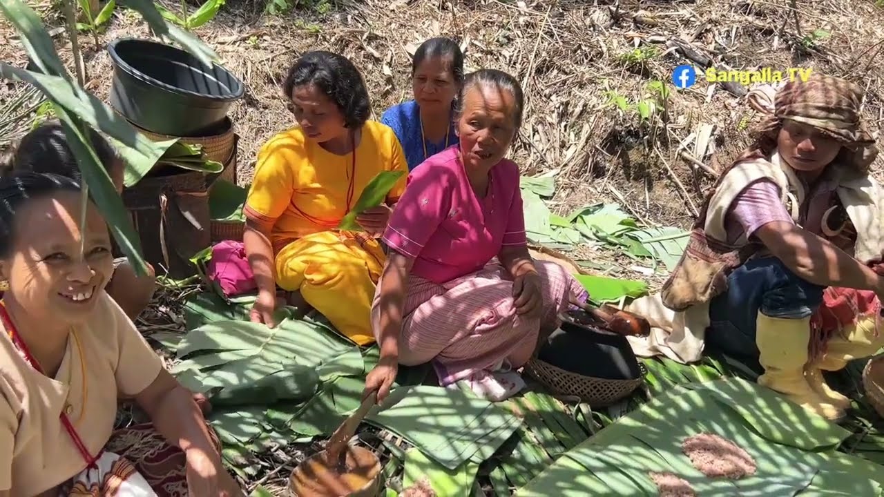 peresmian rumah adat tongkonan