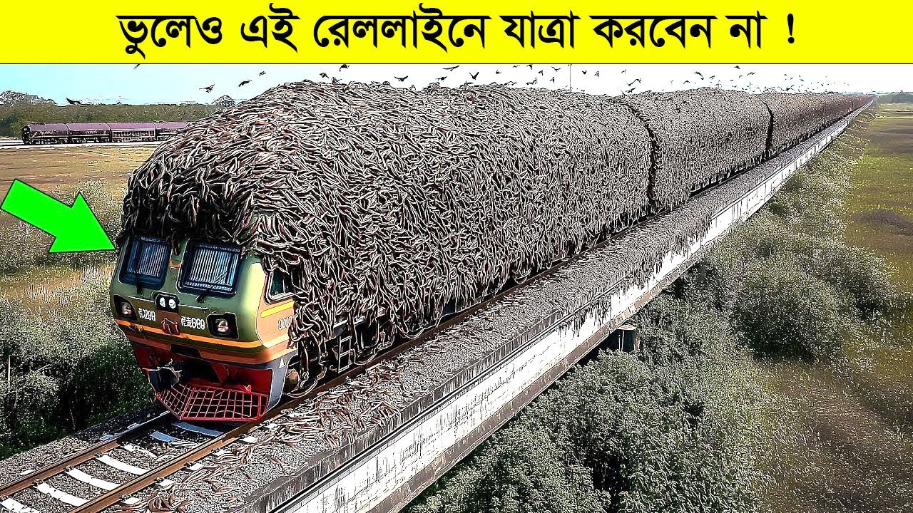 পৃথিবীর সবচেয়ে ভয়ংকর ও বিপজ্জনক কিছু রেলপথ | Most Dangerous Railway Tracks In The World