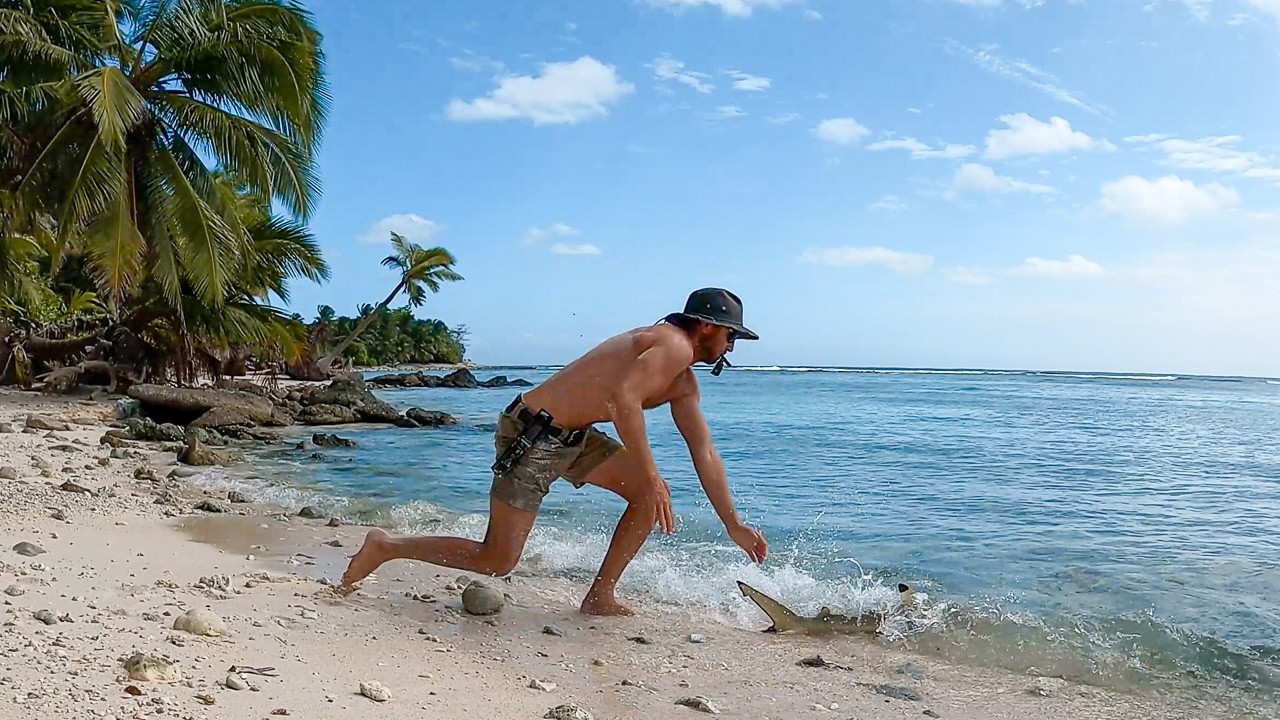 Hand Catching Sharks for Island Survival (Making a Fish Trap)
