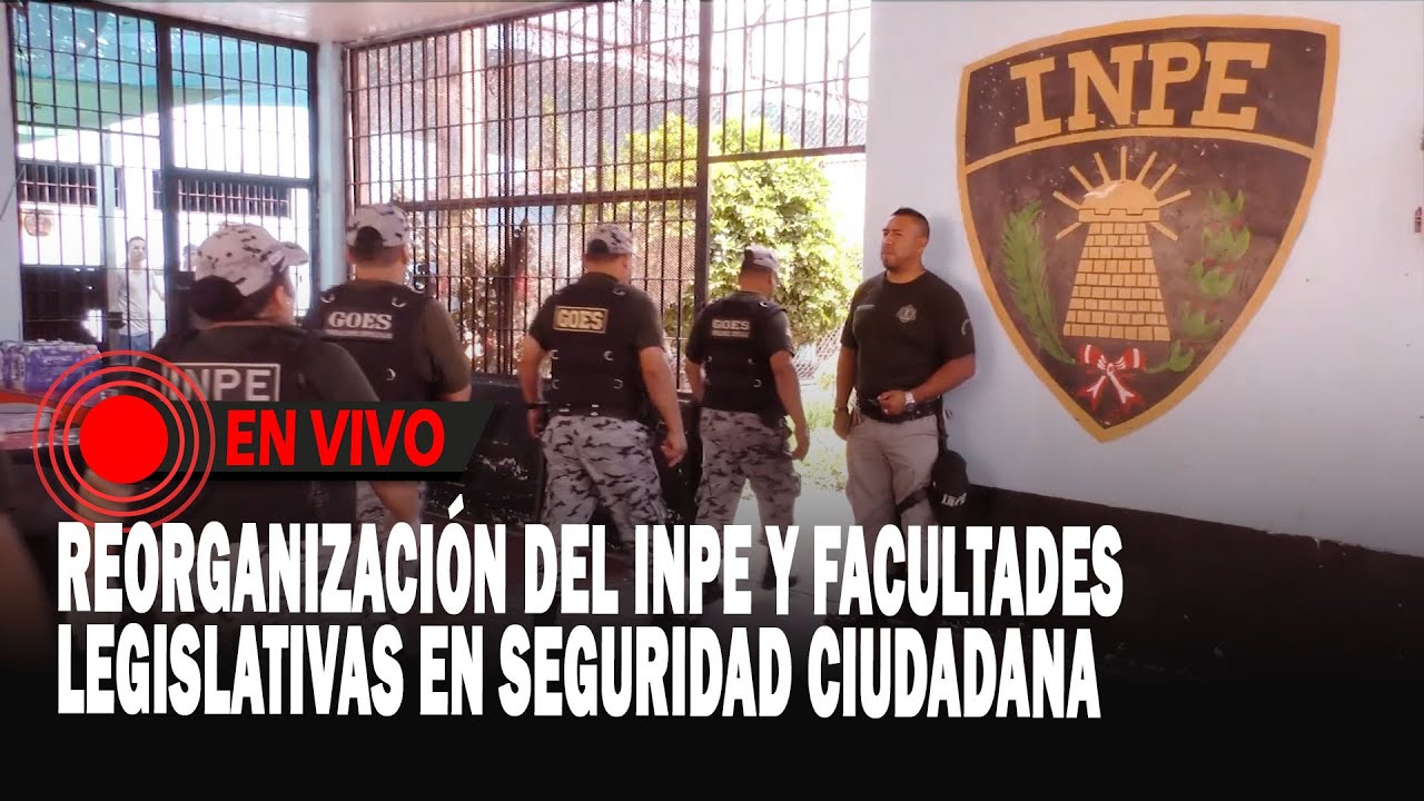 Reorganización del Inpe y facultades legislativas en seguridad ciudadana