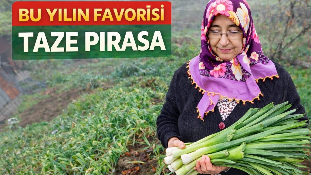 🌫️🌿 Sisli ve Dumanlı Havada Bahçenin Huzur ve Bereket Dolu Hali