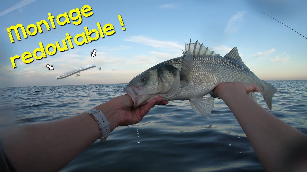 Les BARS se jettent sur le teaser ! - Pêche Bar, leurre de surface