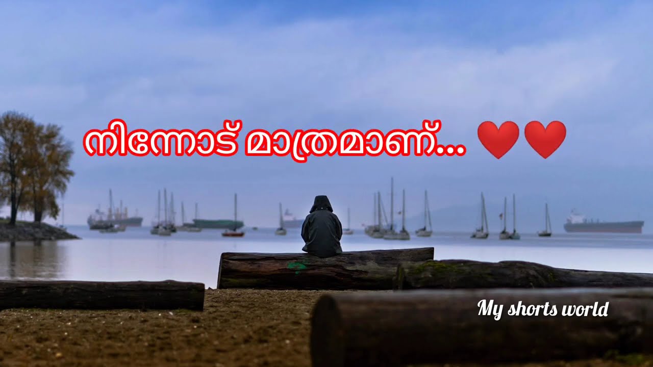 നീ ചിരിച്ചു കൊണ്ട് എന്നും പറന്ന് നടക്കണം ❣️#myshorts #malayalamquotes #love #song #myshortsworld