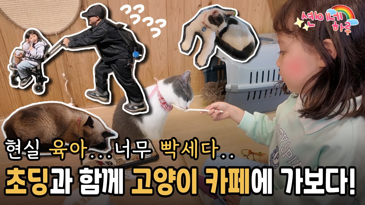 초딩과 함께 고양이 까페에 가보다!! 현실 육아 너무 빡세다😂#고양이카페 #브이로그 #딸이랑 #현실육아 #혜화