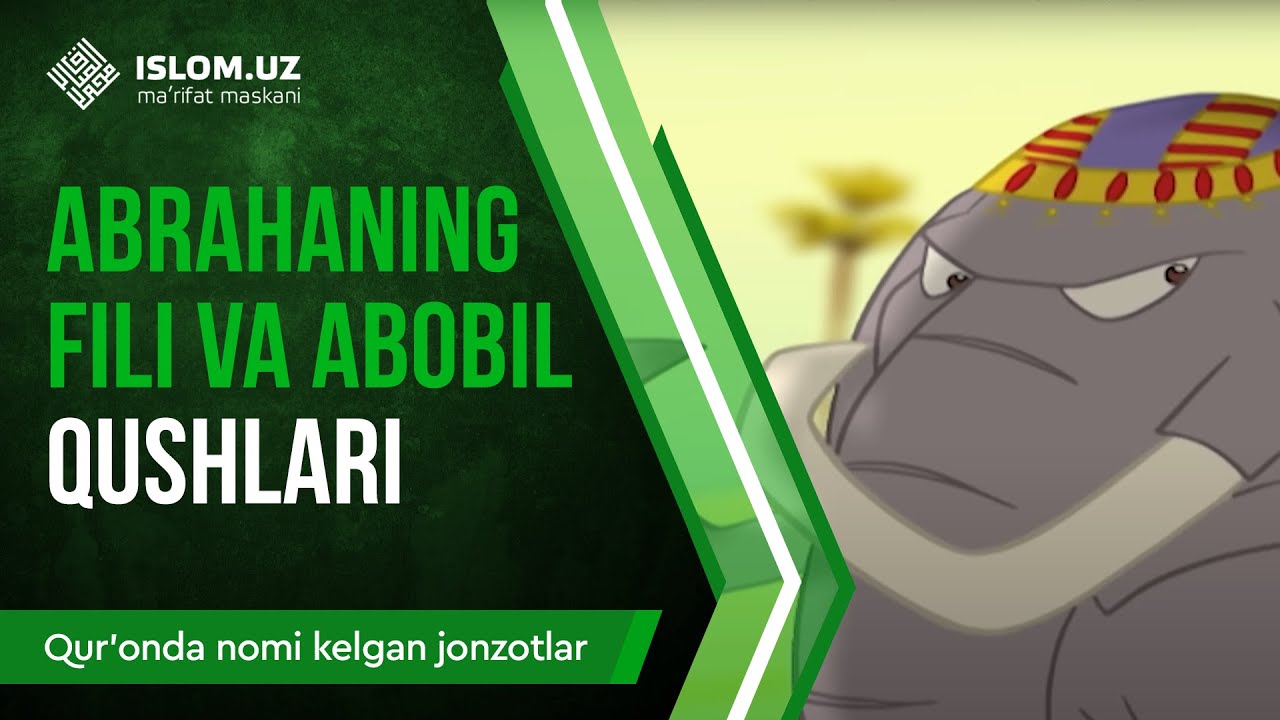 29. Abrahaning fili va abobil qushlari (2-qism) | Qur'onda nomi kelgan jonzotlar