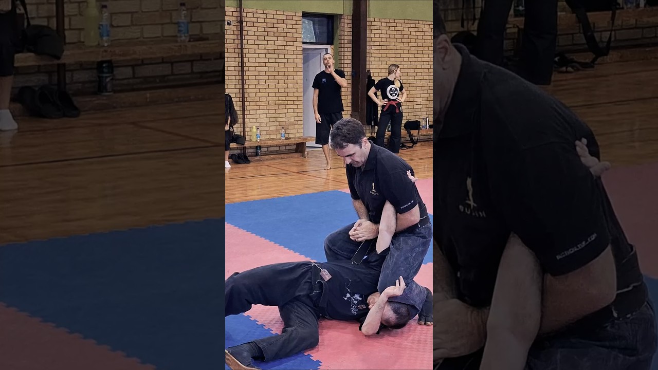 Bujin snippets from Buyu-Kai 2025 in Novi Becej #ninjutsu #bujinkan #ninja #martialarts