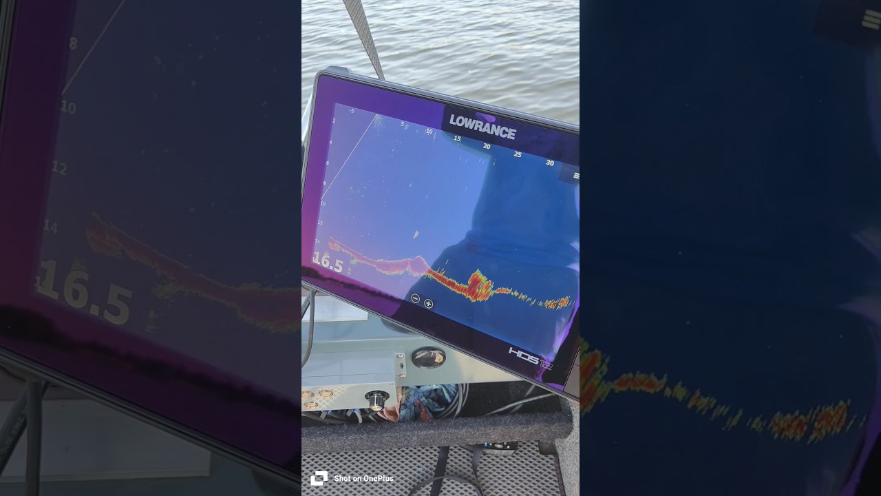 Lowrance Active Target 2, палитра 8ая.